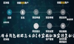 比特币钱包损坏怎么办？专家揭秘独家修复秘诀