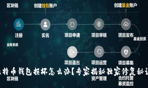 比特币钱包损坏怎么办？专家揭秘独家修复秘诀！