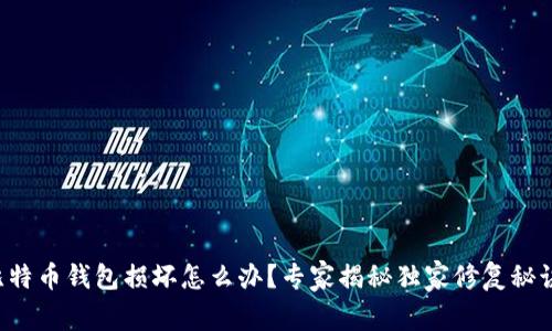 比特币钱包损坏怎么办？专家揭秘独家修复秘诀！