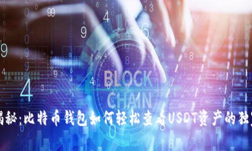 专家揭秘:比特币钱包如何轻松查看USDT资产的独家秘诀