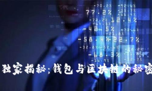 专家独家揭秘：钱包与区块链的秘密关系