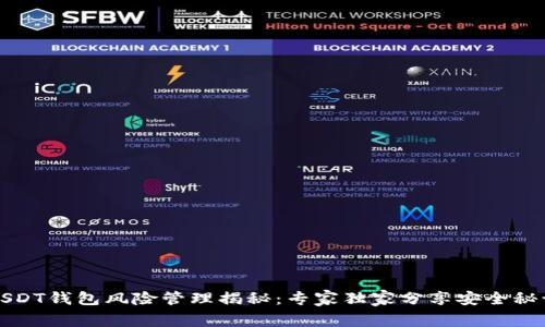USDT钱包风险管理揭秘:专家独家分享安全秘诀