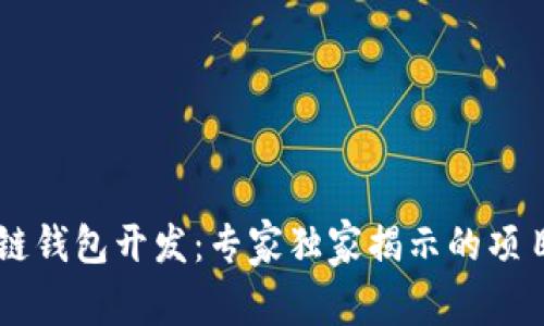 区块链钱包开发:专家独家揭示的项目秘笈