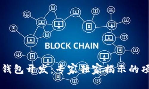 区块链钱包开发:专家独家揭示的项目秘笈
