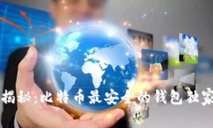 专家揭秘:比特币最安全的钱包独家秘诀