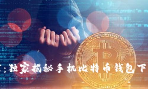 专家推荐:独家揭秘手机比特币钱包下载的秘诀
