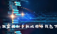 专家推荐:独家揭秘手机比特币钱包下载的秘诀