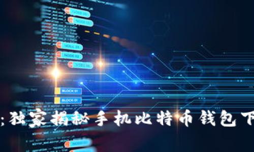 专家推荐:独家揭秘手机比特币钱包下载的秘诀
