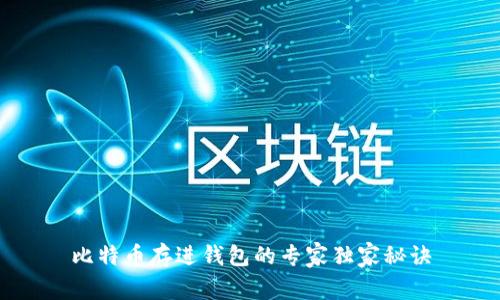 比特币存进钱包的专家独家秘诀