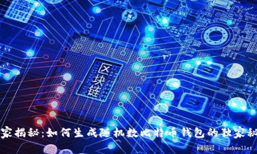 专家揭秘:如何生成随机数比特币钱包的独家秘诀