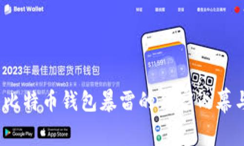 专家揭秘:比特币钱包暴雷的独家内幕与防范秘诀