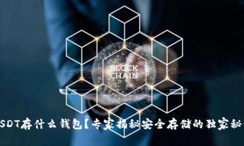 USDT存什么钱包?专家揭秘安全存储的独家秘诀