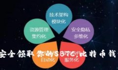 专家揭秘：如何安全领取你的SBTC，比特币钱包必