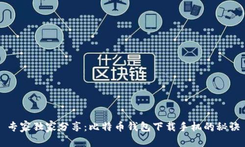 专家独家分享：比特币钱包下载手机的秘诀