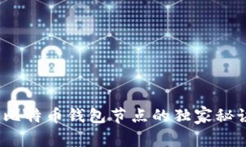 专家揭秘:新比特币钱包节点的独家秘诀与使用技巧