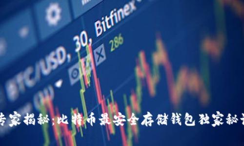 专家揭秘:比特币最安全存储钱包独家秘诀