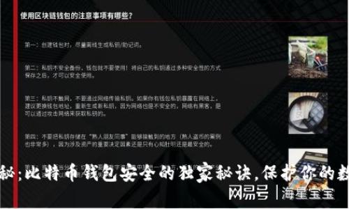 专家揭秘：比特币钱包安全的独家秘诀，保护你的数字财富