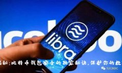 专家揭秘:比特币钱包安全的独家秘诀,保护你