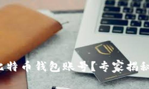 如何拥有比特币钱包账号?专家揭秘独家秘诀!