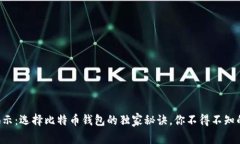 专家揭示:选择比特币钱包的独家秘诀,你不得