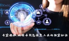 专家揭秘：比特币钱包恢复工具的独家秘诀