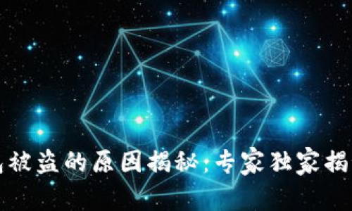 比特币钱包被盗的原因揭秘:专家独家揭秘安全秘诀