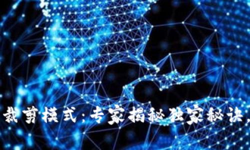 比特币钱包裁剪模式:专家揭秘独家秘诀,安全又高效