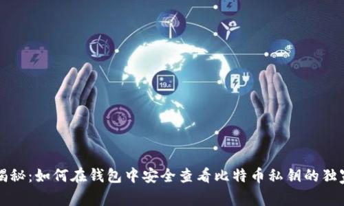 专家揭秘：如何在钱包中安全查看比特币私钥的独家秘诀