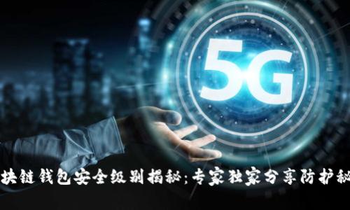 区块链钱包安全级别揭秘：专家独家分享防护秘诀