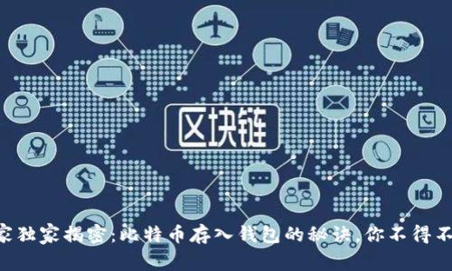 专家独家揭密：比特币存入钱包的秘诀，你不得不知！