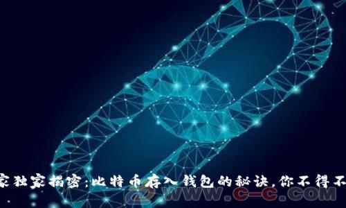 专家独家揭密：比特币存入钱包的秘诀，你不得不知！