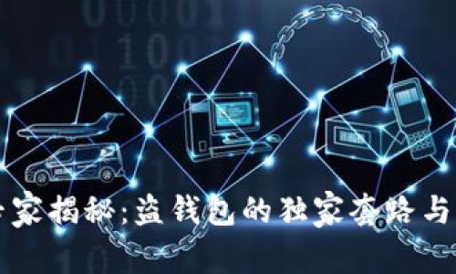 区块链专家揭秘:盗钱包的独家套路与防范秘诀