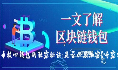 比特币核心钱包的独家秘诀：是否必须加密？专家分析！