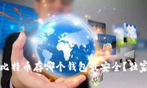 专家告诉你:比特币存哪个钱包最安全?独家秘诀大揭秘!