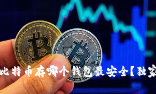 专家告诉你:比特币存哪个钱包最安全?独家秘诀大揭秘!