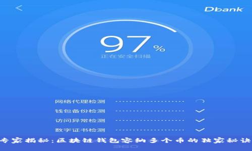 专家揭秘:区块链钱包容纳多个币的独家秘诀!