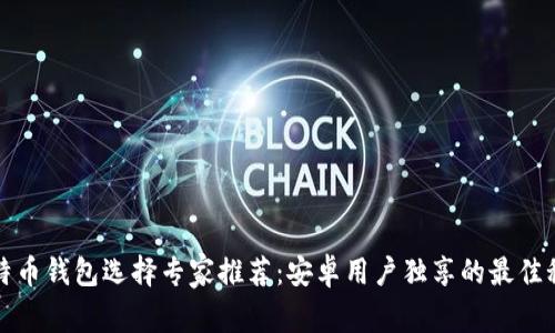 比特币钱包选择专家推荐:安卓用户独享的最佳秘诀