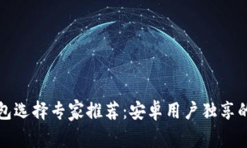 比特币钱包选择专家推荐:安卓用户独享的最佳秘诀