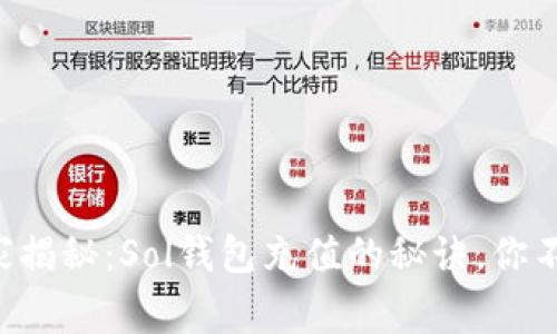 专家独家揭秘:Sol钱包充值的秘诀,你不可不知!