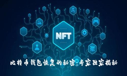 比特币钱包恢复的秘密:专家独家揭秘