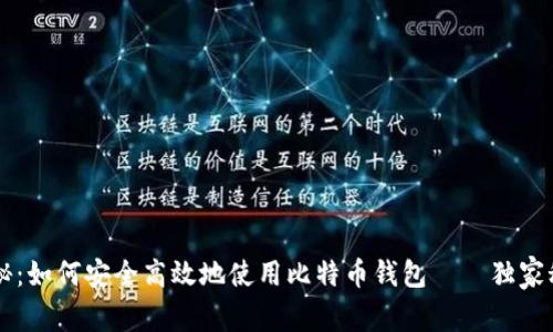 专家揭秘:如何安全高效地使用比特币钱包——独家秘籍分享