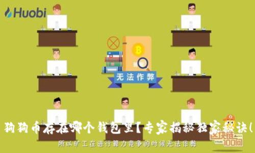狗狗币存在哪个钱包里?专家揭秘独家秘诀!