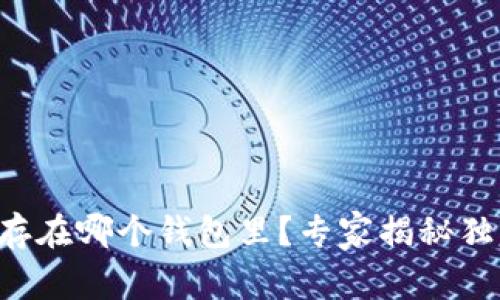 狗狗币存在哪个钱包里?专家揭秘独家秘诀!