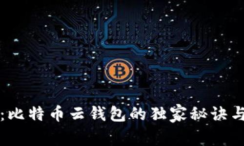 专家揭秘:比特币云钱包的独家秘诀与安全防护
