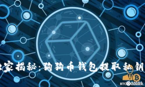 专家独家揭秘：狗狗币钱包提取私钥的秘诀