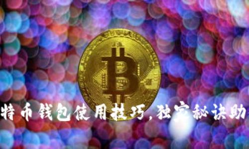 专家揭秘比特币钱包使用技巧，独家秘诀助你轻松掌握！