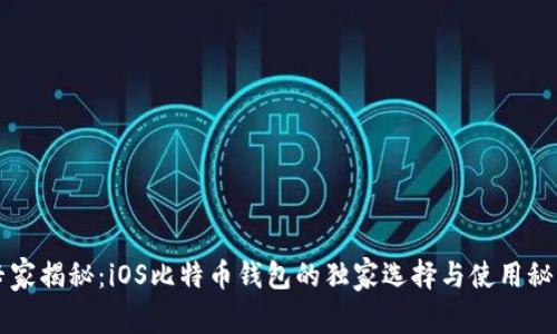 专家揭秘:iOS比特币钱包的独家选择与使用秘诀