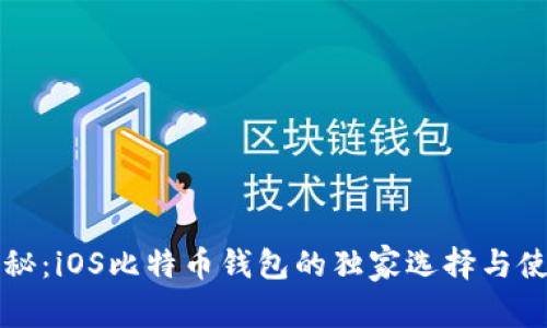专家揭秘:iOS比特币钱包的独家选择与使用秘诀