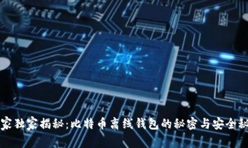 专家独家揭秘：比特币离线钱包的秘密与安全秘诀