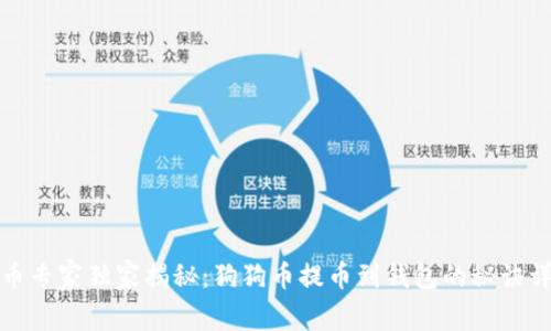 火币专家独家揭秘：狗狗币提币到钱包的秘诀详解